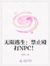ֹŹNPC